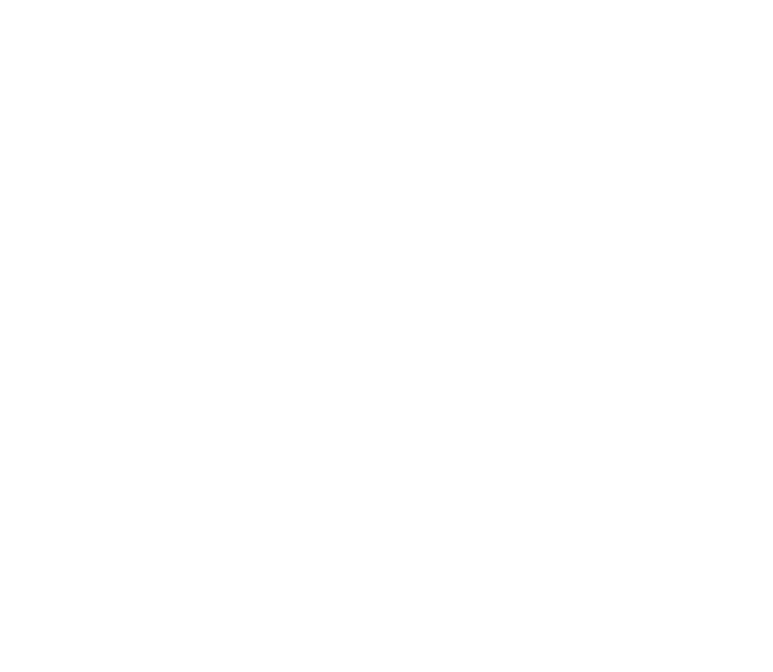 iss_vit